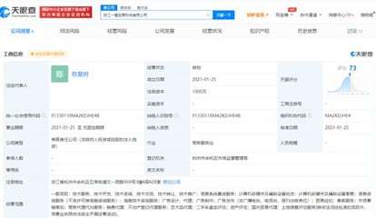阿里成立一錘定音科技公司，劍指抖音“數字化底座”？繼“京西”后布局再引關注